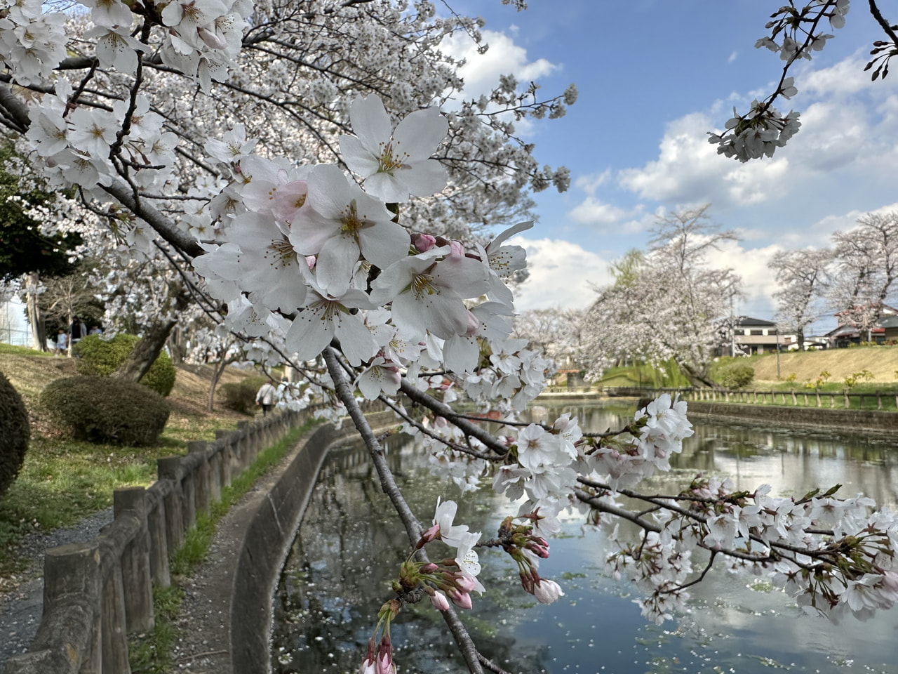 連載 | つなぐ旅〜東日本〜 ひがしにほんトラベルガイド