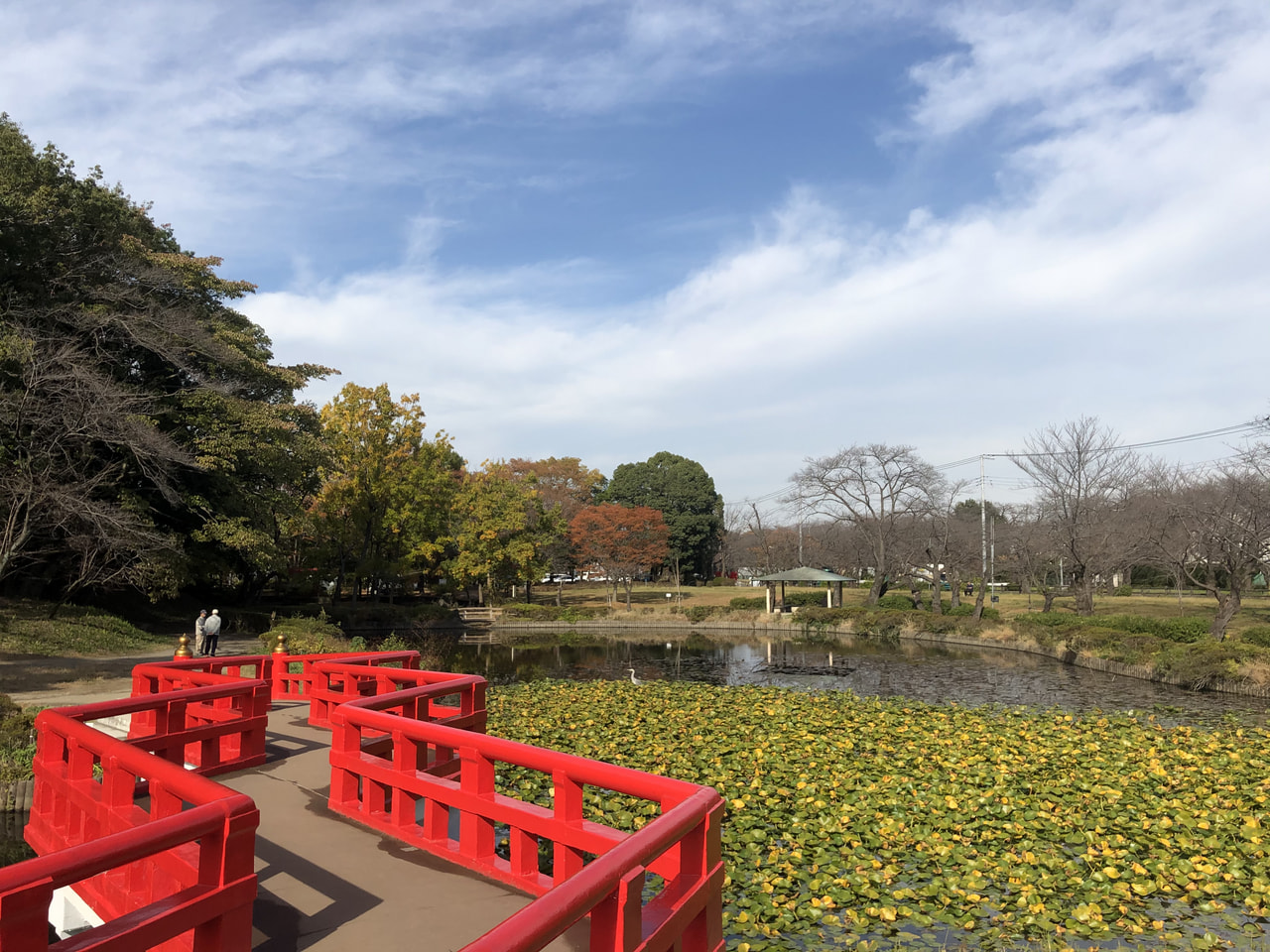 室町・戦国・江戸時代にタイムスリップ⁉ 歴史＆四季の自然を満喫する