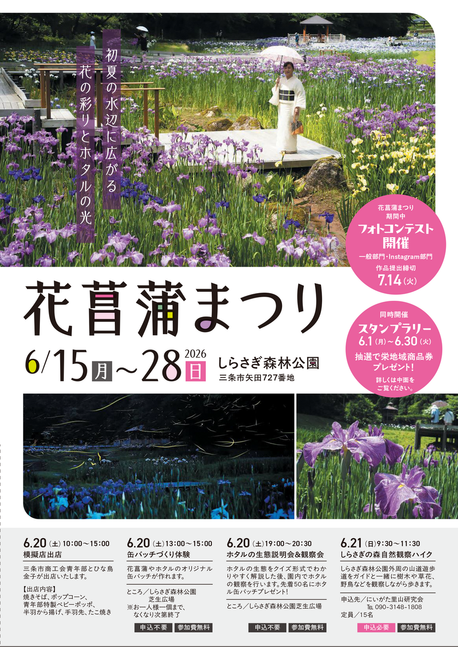 花菖蒲の公園で夜まで待つと何が起こる？ | つなぐ旅〜東日本〜 ひがし