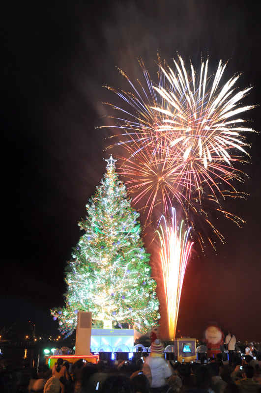 華やかな光に包まれた冬の函館に巨大クリスマスツリーが出現