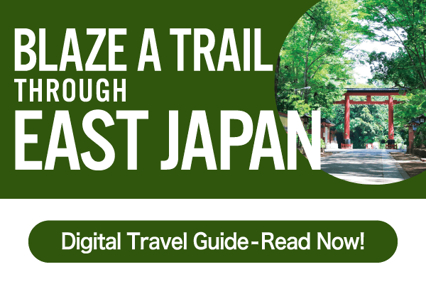 Digital Travel Guide-Read Now!