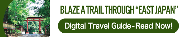 Digital Travel Guide-Read Now!